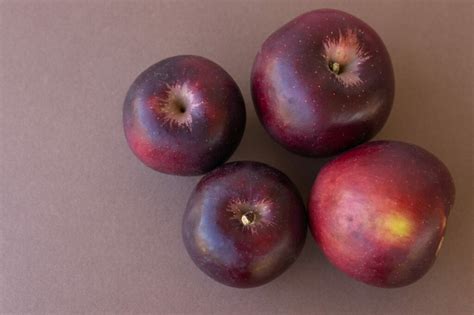 Arkansas Black Apple – Chestnut Hill Nursery