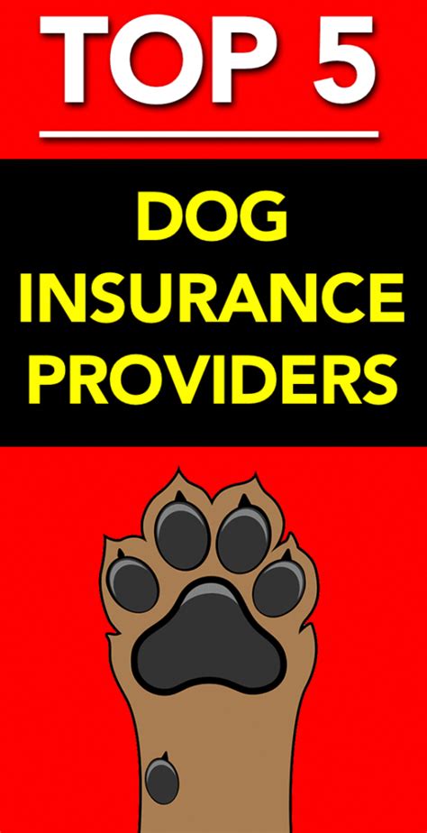 Our Top Five Pet Insurance Providers » The Pet Insurance Guide