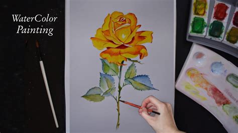 Beautiful Yellow Rose Watercolor Painting Watercolor Rose