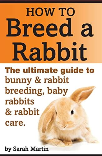 How To Breed A Rabbit The Ultimate Guide To Bunny And Rabbit Breeding