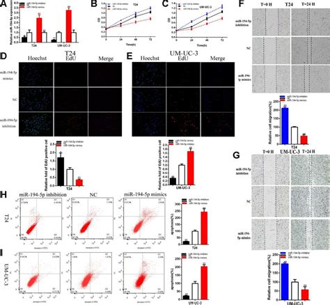 Mir 194 5p Acted As The Antioncogene The Relative Expression Level Of