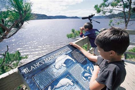 Parc National Du Fjord Du Saguenay Parcs Qu Bec Fjord Disney