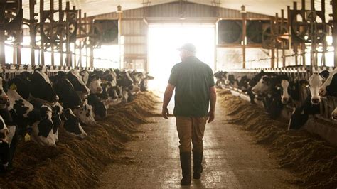 How dairy farmers are protecting our planet - Housetopia