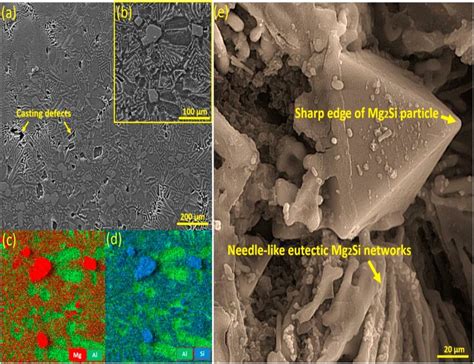 E A Fesem Microstructure Of As Cast Alemg 2 Si Composite B Fesem Download Scientific