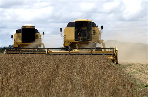 Usda Reduz Previs O De Consumo E Eleva A De Estoques De Soja Dos Eua