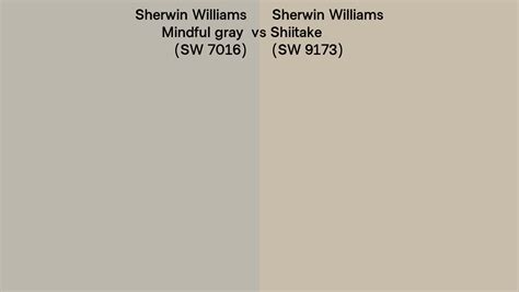 Sherwin Williams Mindful Gray Vs Shiitake Side By Side Comparison