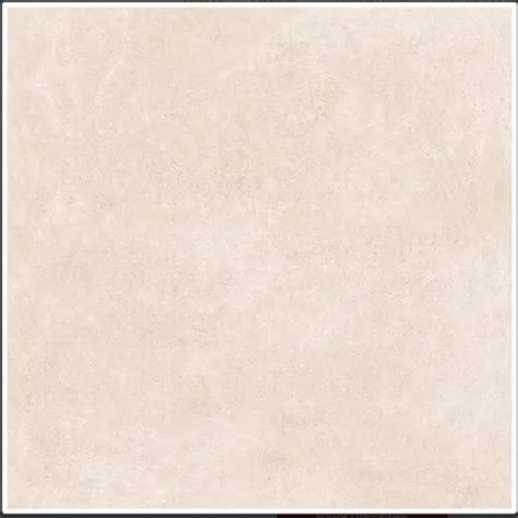 Multicolor 60 60 Cm Porcelain Floor Tile Matte Thickness 8 10mm At