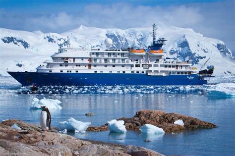 Of The Best Things To Do In Antarctica The Planet D