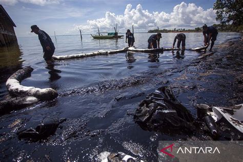 Pantai Melayu Batam Tercemar Limbah Minyak Hitam Antara News