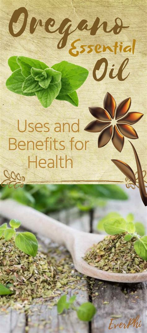 Oregano Essential Oil Uses And Benefits For Health Oregano Essential