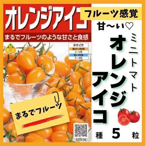 【野菜の種】フルーツ感覚の甘さ！ミニトマト「オレンジアイコ」の種5粒 メルカリ