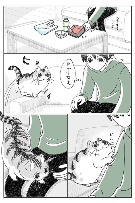 ＜画像2 4＞【ネコ漫画】大好きな飼い主の膝に乗る猫あまりのかわいさに「猫が優先されがち」になる我が家｜ウォーカープラス