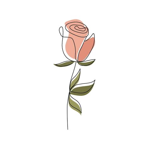 Dibujo De Rosa Ilustración Vectorial Vector Premium