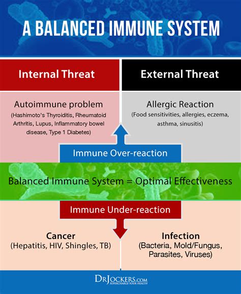 CIRS: Causes, Symptoms and Solutions - DrJockers.com