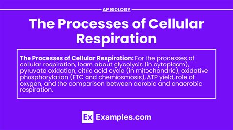 Unit 34 The Processes Of Cellular Respiration Notes And Practice