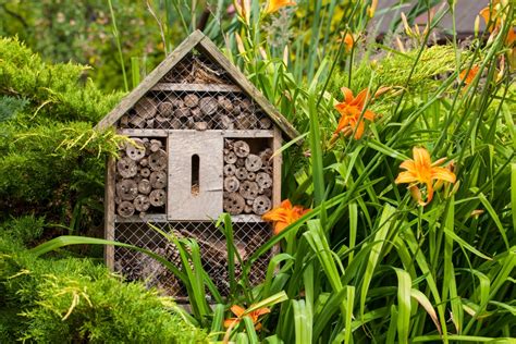 The Uks Best Insect Hotels For Bees Butterflies Ladybirds Other