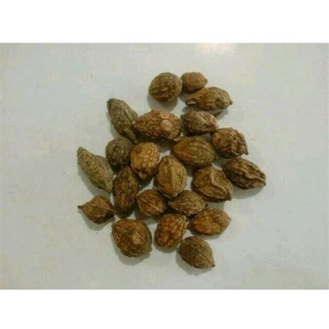 Jual 300 G Gr Gram Yi Zhi Ren Black Cardamom Alpinia Oxyphilla Fruit