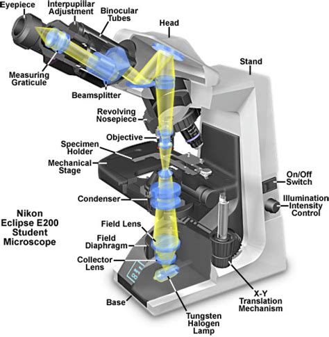 Nikon Microscope Replacement Parts | Reviewmotors.co