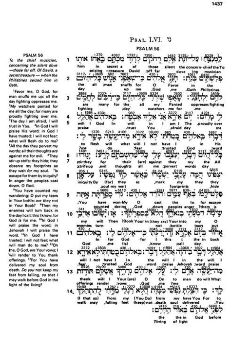 Sample Of Hebrew Greek Interlinear Bible Tonlasopa