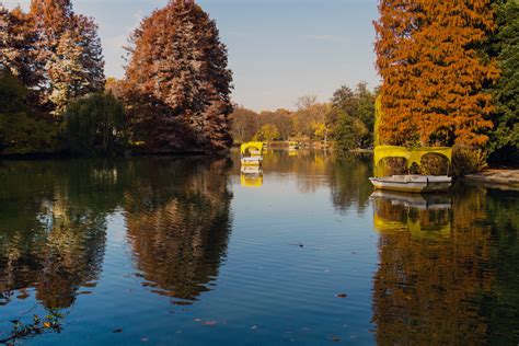 Free Images Landscape Tree Nature Morning Leaf Flower Lake