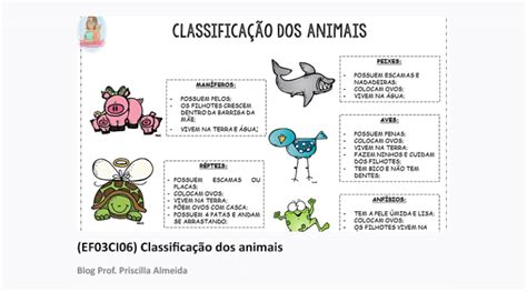 Ef Ci Classifica O Dos Animais