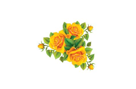 Vector Yellow Rose Yellow Rose Illustrastion Graphic By Sadequl56