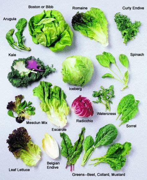 Types of lettuce