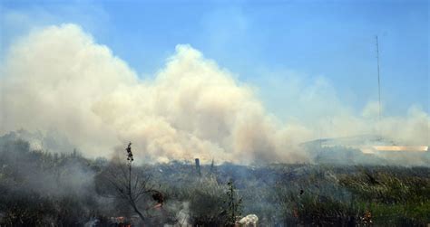 La Propiedad De Los Suelos Se Vio Afectada Por Los Incendios En