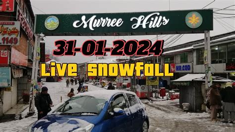 Live Snowfall From Murree 31 01 2024 Murree Snowfall Today Murree