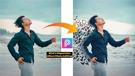 Picsart Birds Dispersion Effect Photo Editing Dispersion Effect In