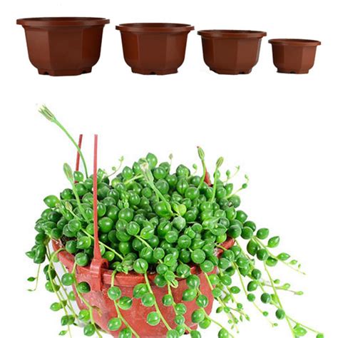 Jardiniere Bac A Fleur Pot De Fleurs Anti Soleil Pour Plantes