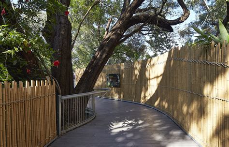 Perth Zoo Orang Utan Exhibit By Iredale Pedersen Hook 谷德设计网