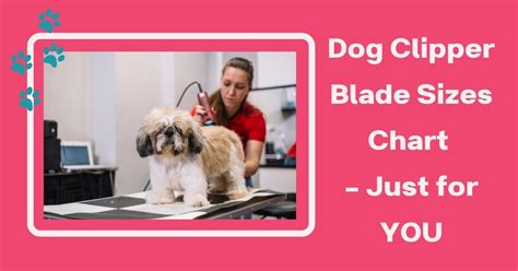 Dog Clipper Blade Sizes Chart – Just for YOU - Groomers' Land