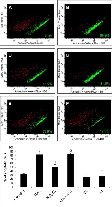 Quantification of apoptotic cells. A : analysis of apoptotic cells with ...