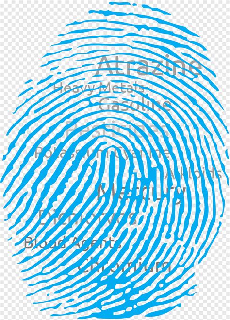 Fingerprint Fingerprints Spiral Symmetry Png PNGEgg