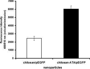 Agarose Gel Electrophoresis For Dnase I Protection Assay Dna And