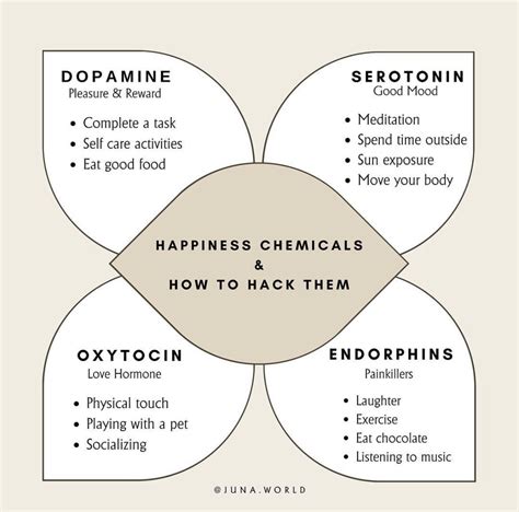 Dopamine vs Serotonin (comparing neurotransmitters) – Juna