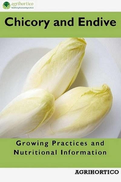 Smashwords Chicory And Endive Growing Practices And Nutritional