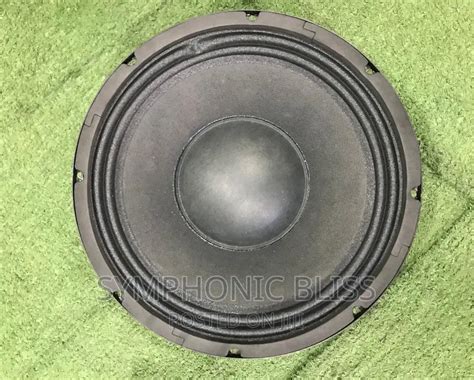 JLD 10inches Pair 8ohms Line Array Naked Speakers PW10101 In Accra