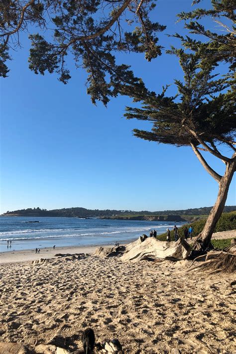 10 Interesting Things To Do In Carmel-by-the-Sea — Salt & Wind Travel