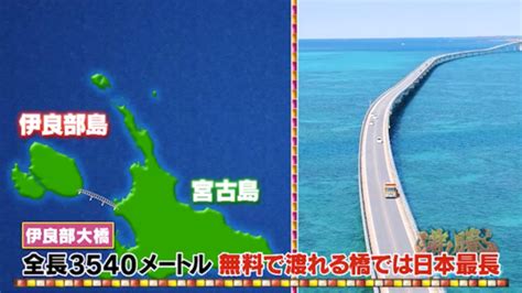 村上佳菜子が沖縄・宮古島へ移住を夢見て物件チェック！友だちの愉快な“おじさん”も続々登場｜沸騰ワード10｜日本テレビ