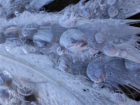 Foto Van Inzendingen National Geographic Junior