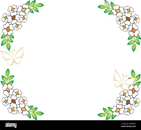 Vector Flowers Butterfly Border Frame Care Background Design Stock