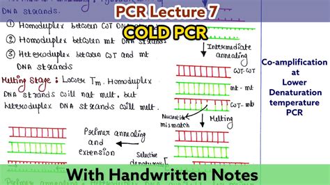 Cold Pcr Types Of Pcr Pcr Lecture 7 Youtube