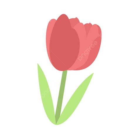 Tulipanes De Dibujos Animados Png Dibujos Animados Pintado A Mano The