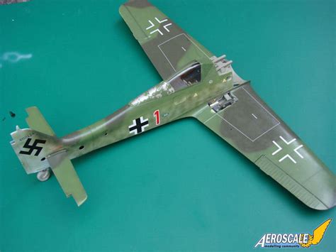 Discover The Hidden Gem Focke Wulf Fw D Unveiling Hasegawa