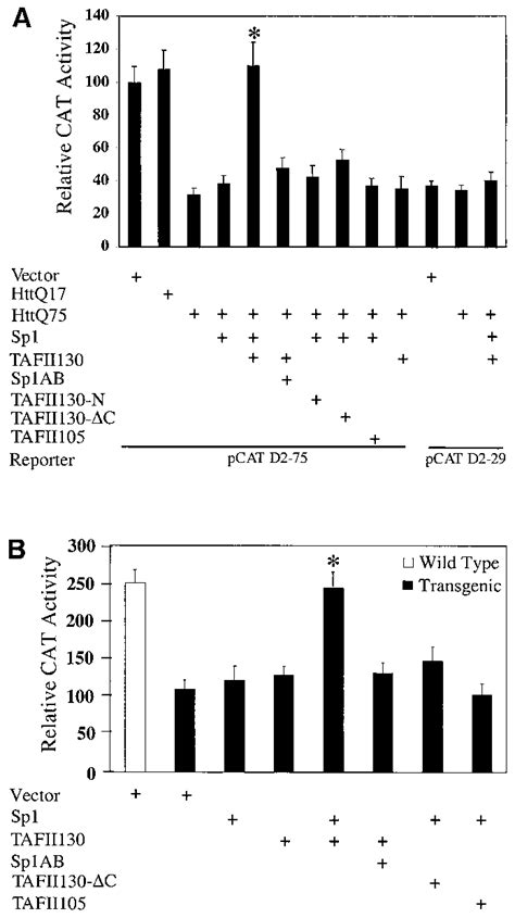 Mutant Huntingtin Mediated Repression Of The D Receptor Promoter And