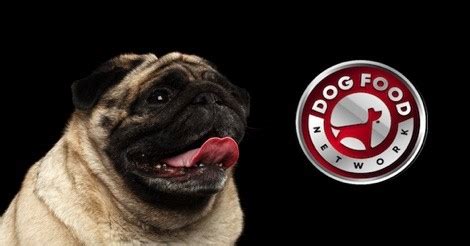 The Best Dog Food Brands For a Pug (2024) - Dog Food Network