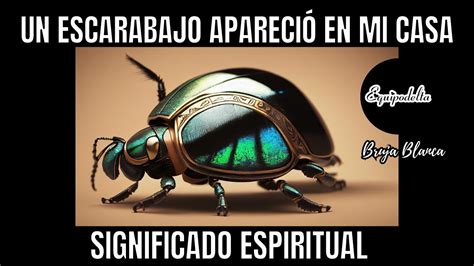 El Significado Espiritual Del Escarabajo En Casa Una Conexi N Divina