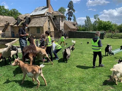 Une journée à la Ferme pédagogique de la Fondation Fondation